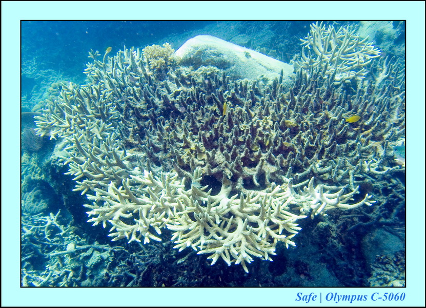 2008 - 07 - Leng Tengah - 073